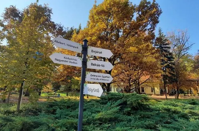 Füredi Daire *