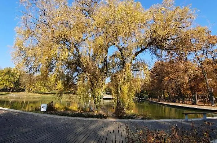 Füredi
